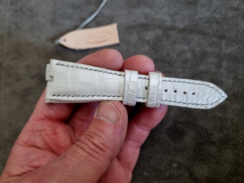 Ivory Pearlescent Alligator for Roger Dubois Sympathy
