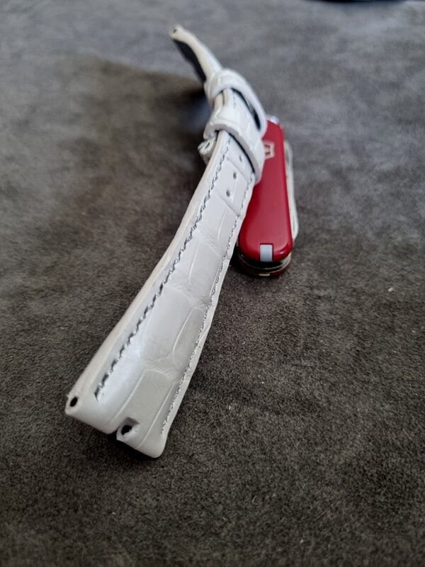 Ivory Pearlescent Alligator for Roger Dubois Sympathy