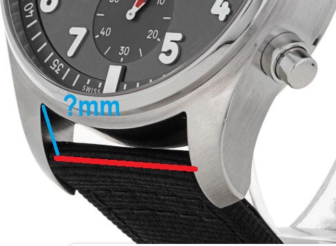 The distance from the spring bar to the corner where the TOP of the lugs joins the watch case