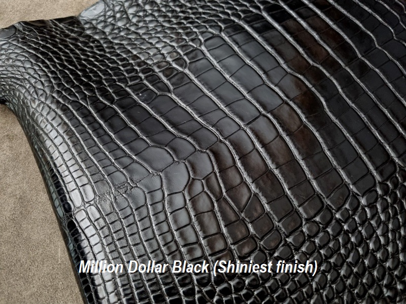 'Million Dollar Black' Alligator Hide from our premium France Croco Alligator Collection - Black Alligator Strap for Rolex Sky-Dweller