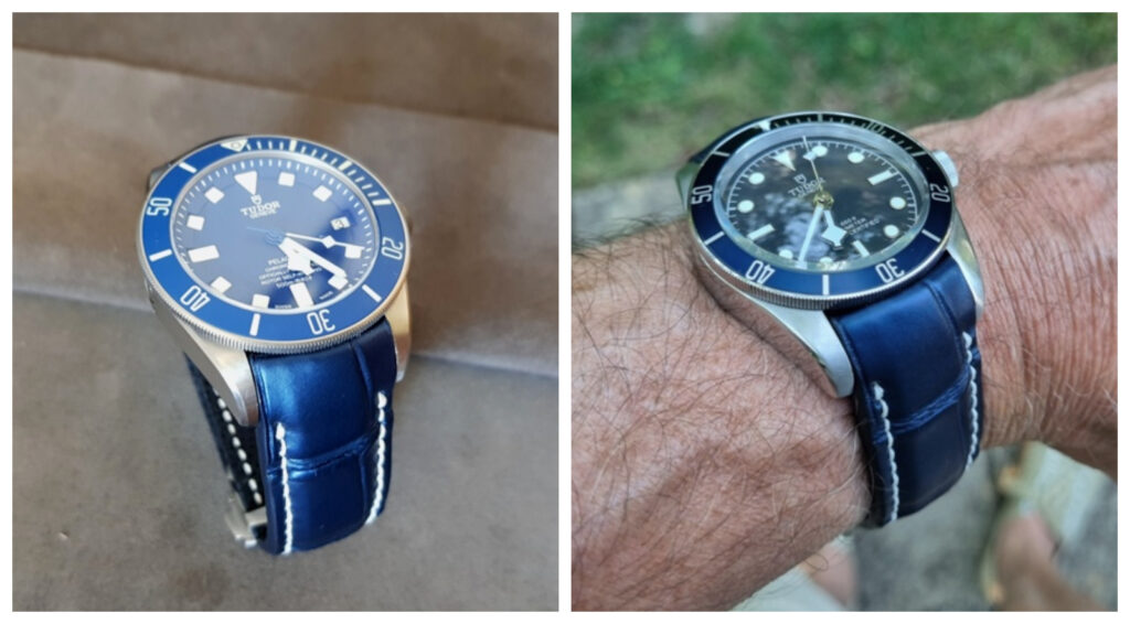 Tudor Pelagos and Black Bay on Oyster Blue Alligator